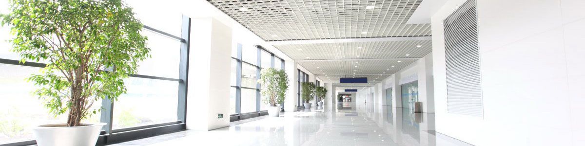  Tenemos hoteles y otros negocios en Ciudad Real. ELITE HOME 2025 S.L en Ciudad Real